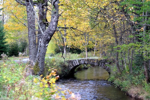 Photo shows details of countryside wood and landscape.