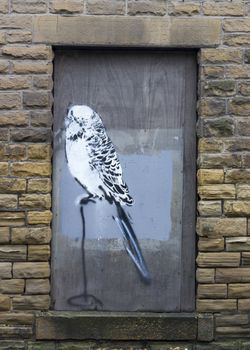 Budgie graffiti on a boarded up window