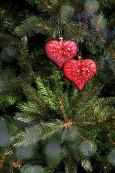 Red Christmas tree decoration in the form of heart on a fir-tree branch