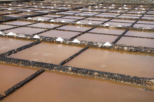 Fresh sea salt  Salinas del Carmen  Fuerteventura