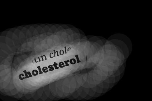 Cholesterol  Dictionary Definition single word with soft focus
