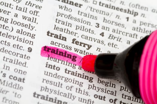 Training  Dictionary Definition highkighted in pink marker