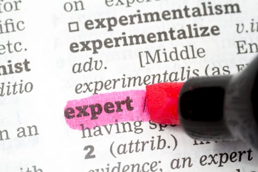 Expert  Dictionary Definition single word with soft focus