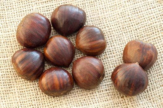 beauitful macro of chestnut in jute background