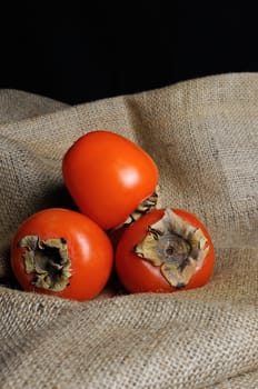 Group of ripe juicy persimmons in the tissues of burlap