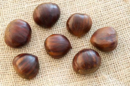 beauitful macro of chestnut in jute background