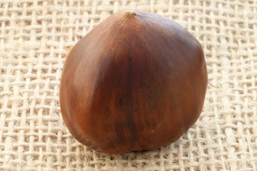 beauitful macro of chestnut in jute background