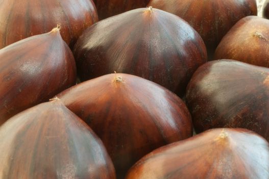 beauitful macro of chestnut details