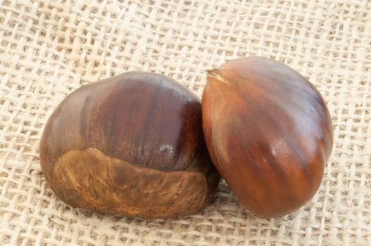 beauitful macro of chestnut details in jute background