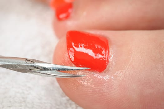 cutting cuticlle on toe with scissors, pedicure process macro closeup