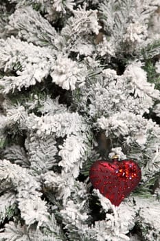 red toy in the form of heart on a branch of the fir-tree covered with hoarfrost