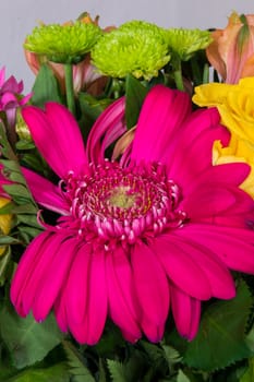 Bouquet of various colorful flowers