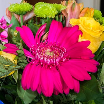 Bouquet of various colorful flowers