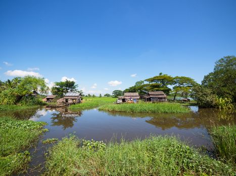 Farmhouses between a canal and the rice fields at the Irrawaddy Delta in Southern Myanmar