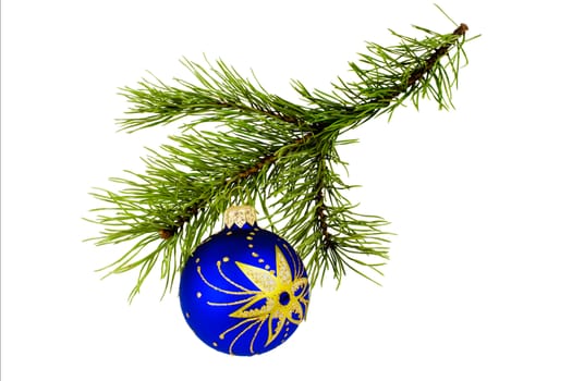 Christmas ball and pine branch on a white background