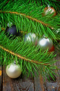 Christmas Decoration with Solver, Black and Pink Baubles into Fluffy Green Pine Branches with Long Needles closeup on Rustic Wooden background