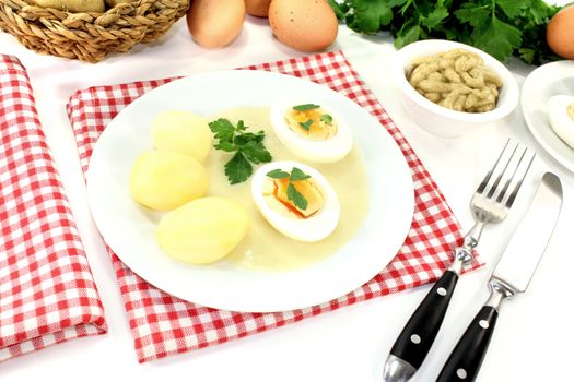 Mustard eggs with potatoes and smooth parsley on bright background 