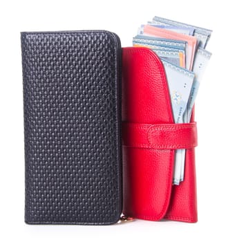 wallet. woman wallet with money on background