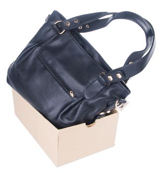 bag. women bag on background
