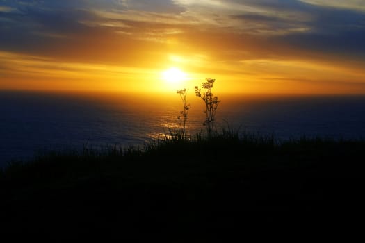 Ocean view sunset on the freeway1,California.