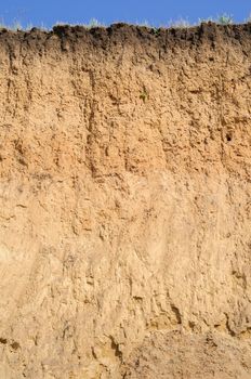 A cut of soil with several layers visible and dried grass on top