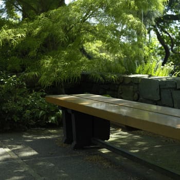 Wooden bench in a green garden