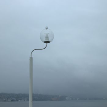 Street light on the shore of a large river