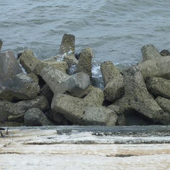 Concrete star shaped blocks on the side of the ocean