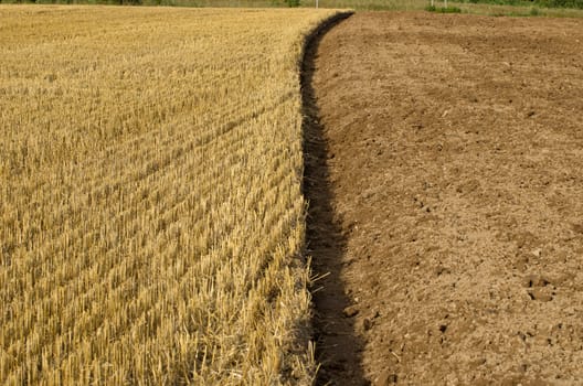 straw stubble and cultivated earth soil on autumn farm field