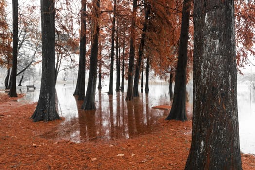 Lake of Varese overflow in the public park Zanzi, Schiranna