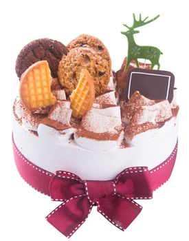 cake. ice cream cake with white background