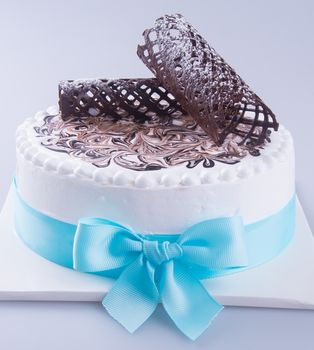 cake. ice cream cake with white background