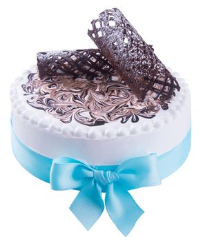 cake. ice cream cake with white background