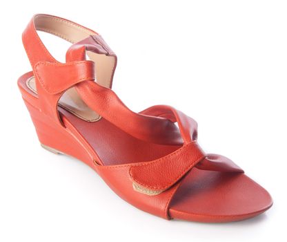 shoe. female fashion sandal on Background