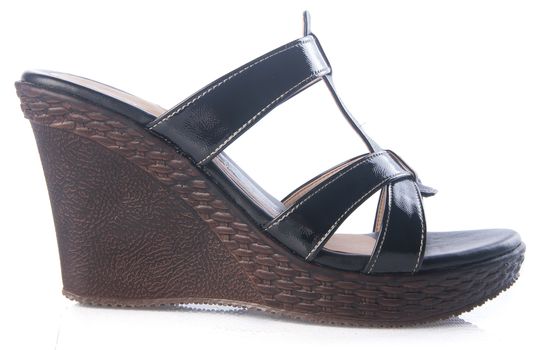 shoe. female fashion sandal on Background