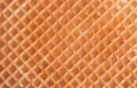 Wafer. Wafer texture for a background