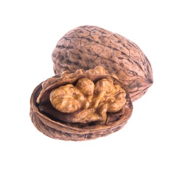 nut. walnut on the background.