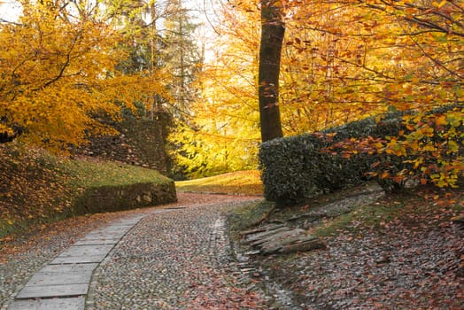 autumn colors in the park of Sacred Mount Orta, Piedmont