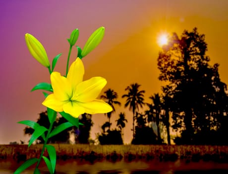 Beautiful of Yellow Lily with nature background.