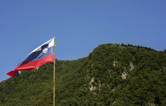 Slovenian flag and blurred forest behind.