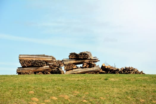 Wood stacked on a top of a hill