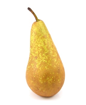 Green Conference pear standing upright, isolated on a white background