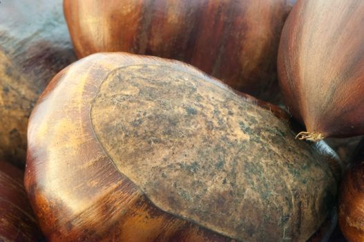 raw natural macro of chestnuts in studio