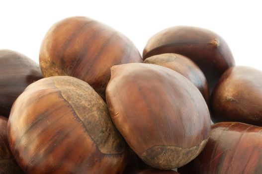 raw natural macro of cooked chestnuts in studio