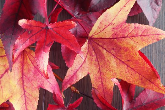 Red autumnal leaves over wooden background