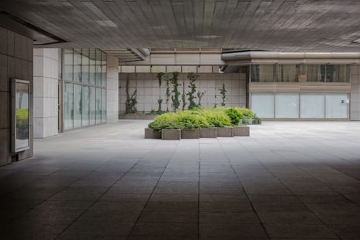 The bushes add some color note to the grey concrete tiles passage in this building