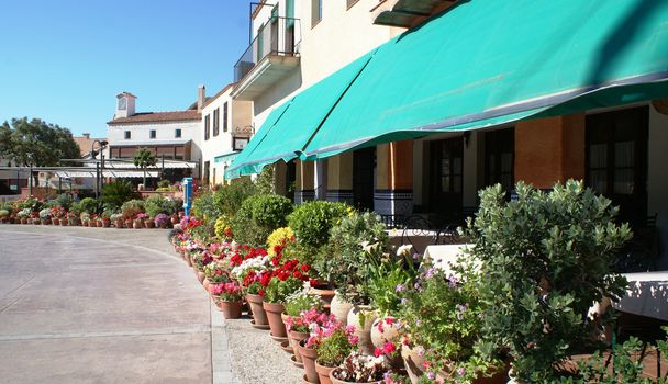 Many flowers in pots in park Port Aventura, Salou