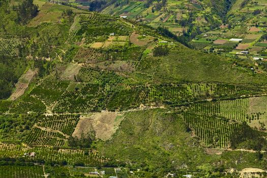 Rural hillside landscape with small farms and orchards along the road between Ambato and Banos in Tungurahua Province in Central Ecuador. Even though the area lies relatively high (around 1800-2000 meters), many fruits and vegetables are being grown here.