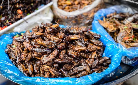 Fried edible insects on tray have been sold at Kampong Thom market, Cambodia, September 1st 2014. Fried crickets is a kind of insects food & is favorite dish of Khmer