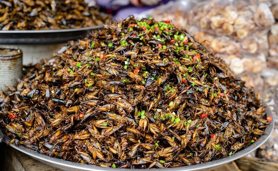 Kampong Thom province, Cambodia, September 1st 2014: Fried crickets - a kind of insects food which were sold at Kampong Thom market